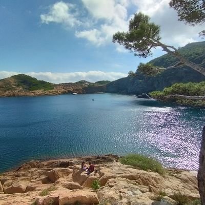 Moc764756's profile picture. sense remei!!!