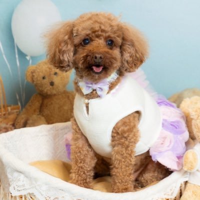 M3Bl6's profile picture. Number_i、CHEMISTRY、赤西仁、三浦翔平 結構ジャニオタです😂