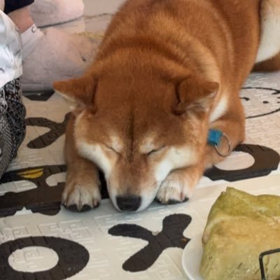 TuiMeep's profile picture. FeelsOkayMan
❤️💙