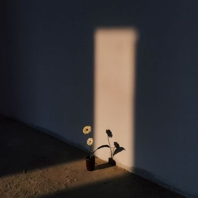 timeMap304's profile picture. 