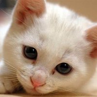 yimiya（いみや） (@3keymikky) 's Twitter Profile