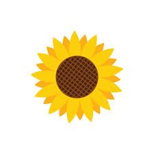 sashaa_bunny's profile picture. 