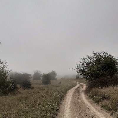 sohrabrost49859's profile picture. تنهای ژئوپلتیکی و ایدئولوژیکی