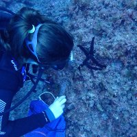 Paula (@aluapps95) 's Twitter Profile