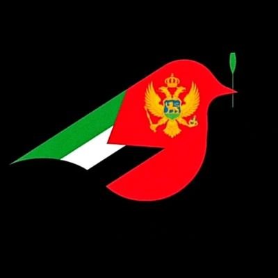 🇲🇪🇵🇸 Građanski pokret solidarnosti sa Palestinom.