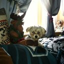 Gail Dolson - @gaildol - Twitter