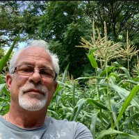 Terry Greene (@gr64946637) 's Twitter Profile