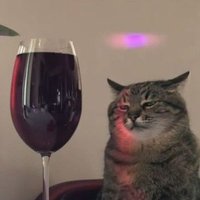 jacsu (@rydingjacs) 's Twitter Profile