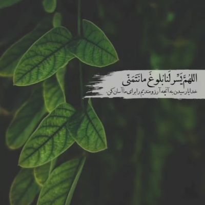 Afsane796793's profile picture. 