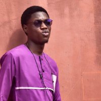Praise Afolabi (@dev_apexxr) 's Twitter Profile