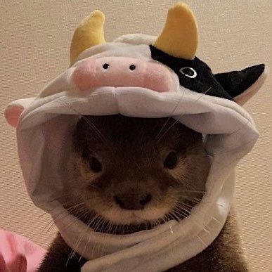 I'm Hails @HailReee /ᐠ. .ᐟ\ I really don't care if you like me