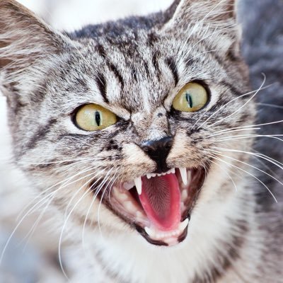 Alex05287196670's profile picture. 