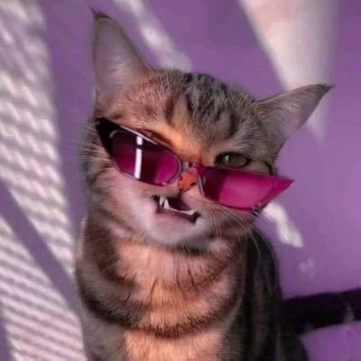 Razowyskrzat's profile picture. don't put off till tomorrow what can be done today