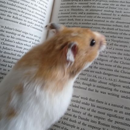 need_S0_bad's profile picture. 가엾은 내 사랑 빈집에 갇혔네