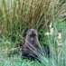 Otter Shop (@otter_shop) Twitter profile photo Otter Shop (@otter_shop) Twitter profile photo