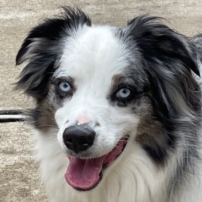 truedat2024's profile picture. 