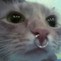 karina˚ʚ♡ɞ˚ (@karina_core) 's Twitter Profile Photo karina˚ʚ♡ɞ˚ (@karina_core) 's Twitter Profile Photo