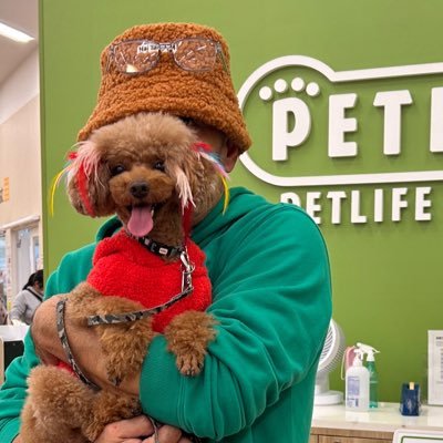 トイプードルロアちゃん(9歳)とふたり暮らし💕皆さんのワン🐕ニャン🐈の投稿を拝見して癒されてます😊大学サッカー、Jリーグ、ラ・リーガ観戦⚽️横浜FC👽川崎F🐬SC相模原🐤ラージョ☠️は特別な思い入れがあります。日大サッカー部も応援! 🐶好き⚽️好きな方と仲良くしたい😊