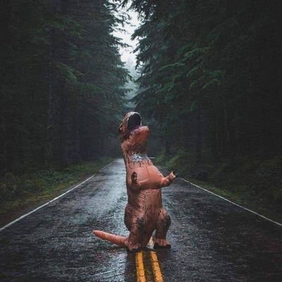 lo0p_seVer's profile picture. I believe in Jesus Christ. Cincinnati native. Avid reader. #WhoDeyNation. Crypto is what got me into Twitter. #PS5. $ETH Dinosaurs are frickin' cool!