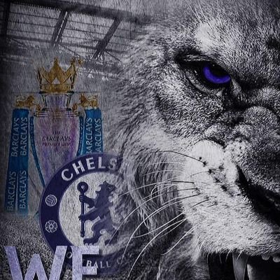 totalchels1905's profile picture. proud brit, chels🏴󠁧󠁢󠁥󠁮󠁧󠁿💙