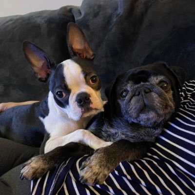 MilburnJonny's profile picture. Crypto Investor adopting a chilled approach to the crazy crypto market. Hence the saying “ as cool as a cucumber” 🥒 😂 🐳