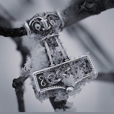 Lordantypisior's profile picture. #trzaskowski2025 #trzaskowskiteam