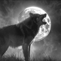 Monkey NFT (@monkey79012) 's Twitter Profile