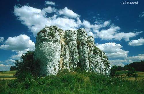 Agfender74's profile picture. 