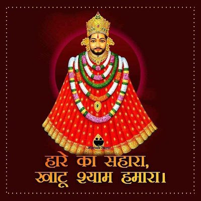 shanki_ran2610's profile picture. 