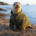 Garden Lane Seal (@gardenseal) Twitter profile photo Garden Lane Seal (@gardenseal) Twitter profile photo