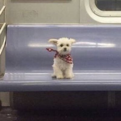 7qn8v's profile picture. 