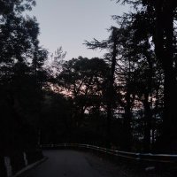 Priyanka Sharma (@priyaanku_) 's Twitter Profile