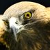 Can Kartal (@cankartaljk) Twitter profile photo Can Kartal (@cankartaljk) Twitter profile photo