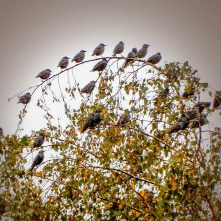 Ni28VJ's profile picture. Oost West Nergens Best.
Het spook van het communisme vaart opnieuw door Europa. 
Van de ☔ in de 💧. Beter is al geweest.