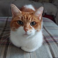 AnarKat 🏴 (@anarkat545850) 's Twitter Profile Photo