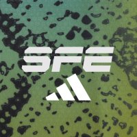 SFE (@southflexpress) 's Twitter Profile