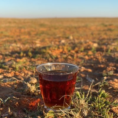 T40755438T's profile picture. 