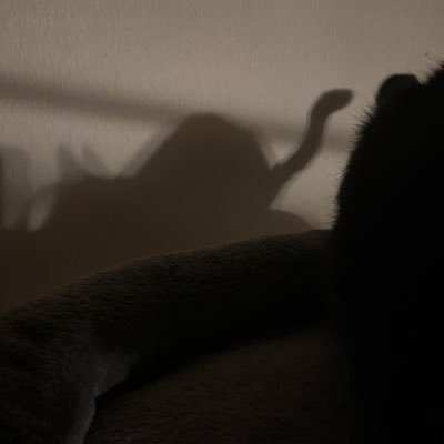 kirin210414's profile picture. 