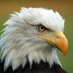 MazFajita❤️Jesus❤️🇺🇸 ❤️🦅 (@mazfajita) Twitter profile photo MazFajita❤️Jesus❤️🇺🇸 ❤️🦅 (@mazfajita) Twitter profile photo