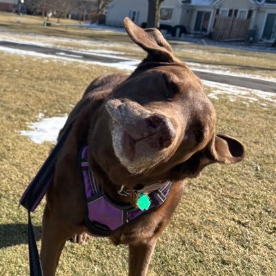 piggiepai's profile picture. thank Jesus&God