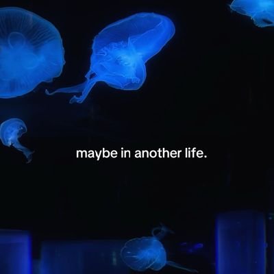 aboutwentyseven's profile picture. 