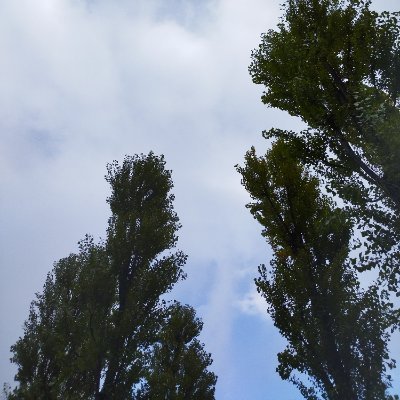 表垢兼裏垢。弱音と思索とひとりごと。
知ってる人しか通しません。
ひとりごとなので見られる前提で書いてないです。
幻滅しないでください。
返信とひとりごとは別物です。