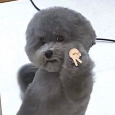 Hantさんのプロフィール画像