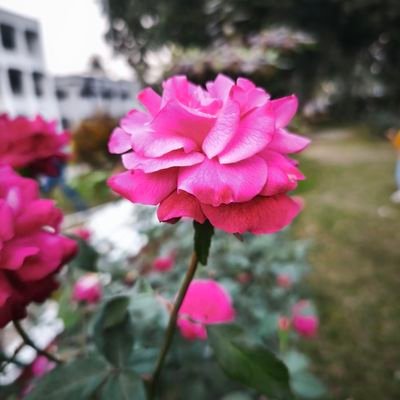 MDNayan08's profile picture. 3QJHGRYB