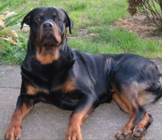 Marky007mark's profile picture. 