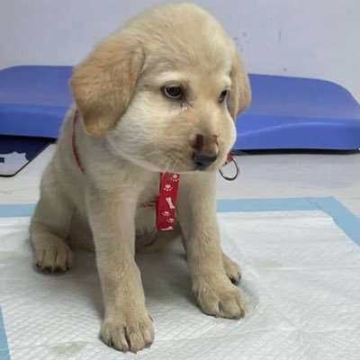 wng1178149's profile picture. 个人合约5年，已经成为了一颗顽固的韭菜