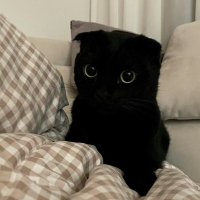 주 민 (@jumin2ya) 's Twitter Profile
