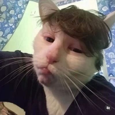 luis_garci36852's profile picture. 