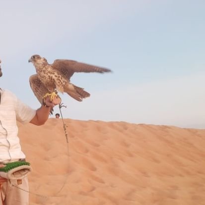 silicon_wing's profile picture. Engineer, led 4 startups : some to failure and some will reach IPO

Trying to make world a better place than yesterday

Tweets are personal opinions