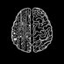 Saleh Alshehri (@biomedicel) Twitter profile photo Saleh Alshehri (@biomedicel) Twitter profile photo